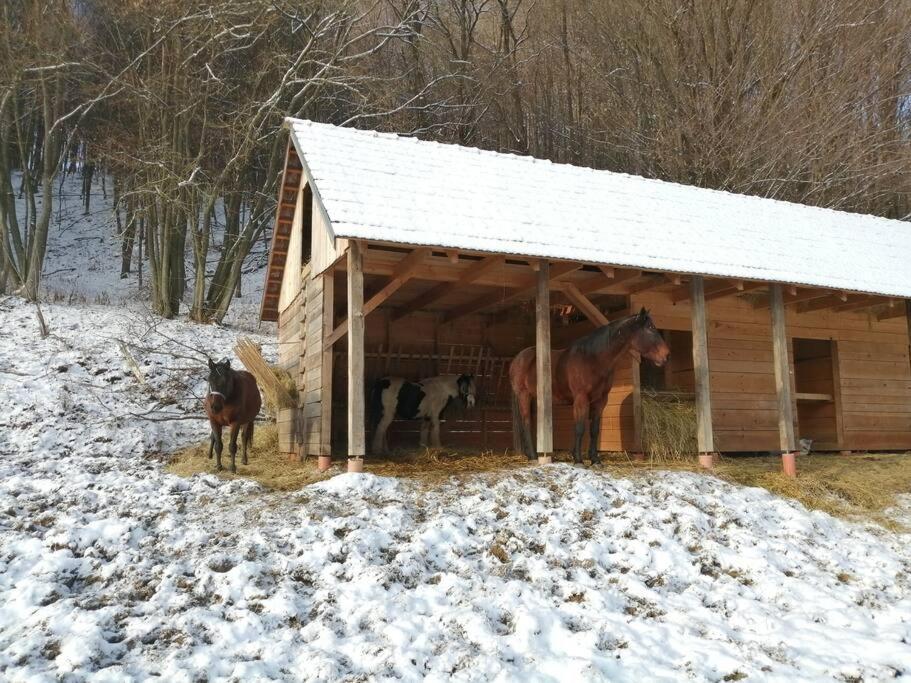 Oddychovy Pobyt Na Rodinnej Farme Matiaska Dış mekan fotoğraf