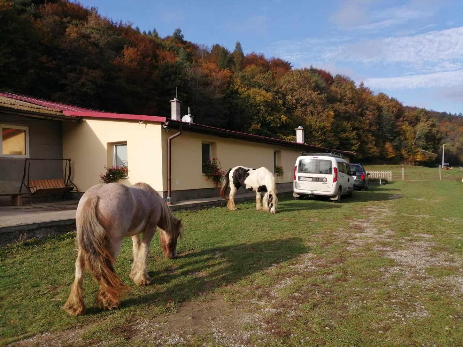 Oddychovy Pobyt Na Rodinnej Farme Matiaska Dış mekan fotoğraf