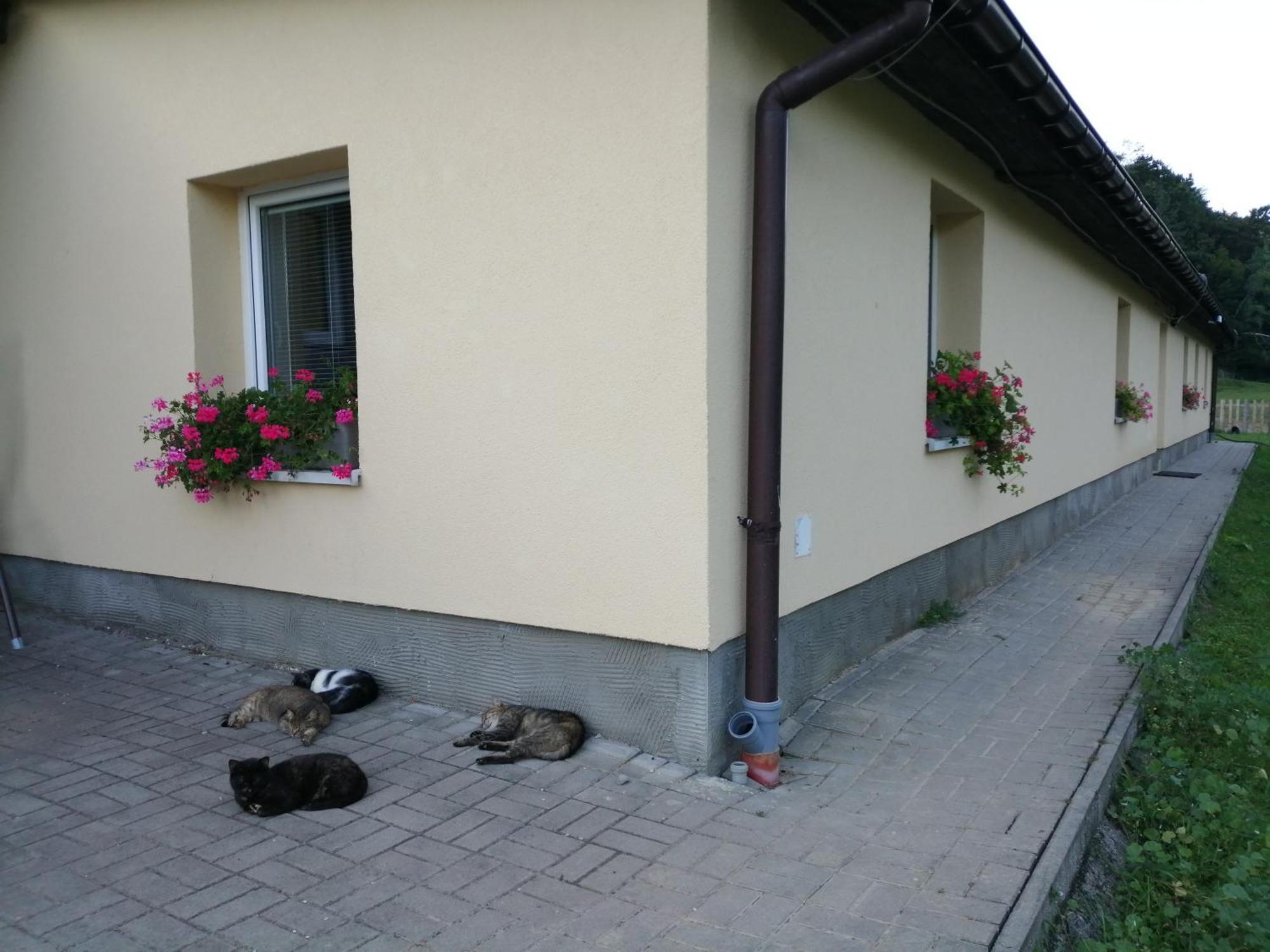 Oddychovy Pobyt Na Rodinnej Farme Matiaska Dış mekan fotoğraf