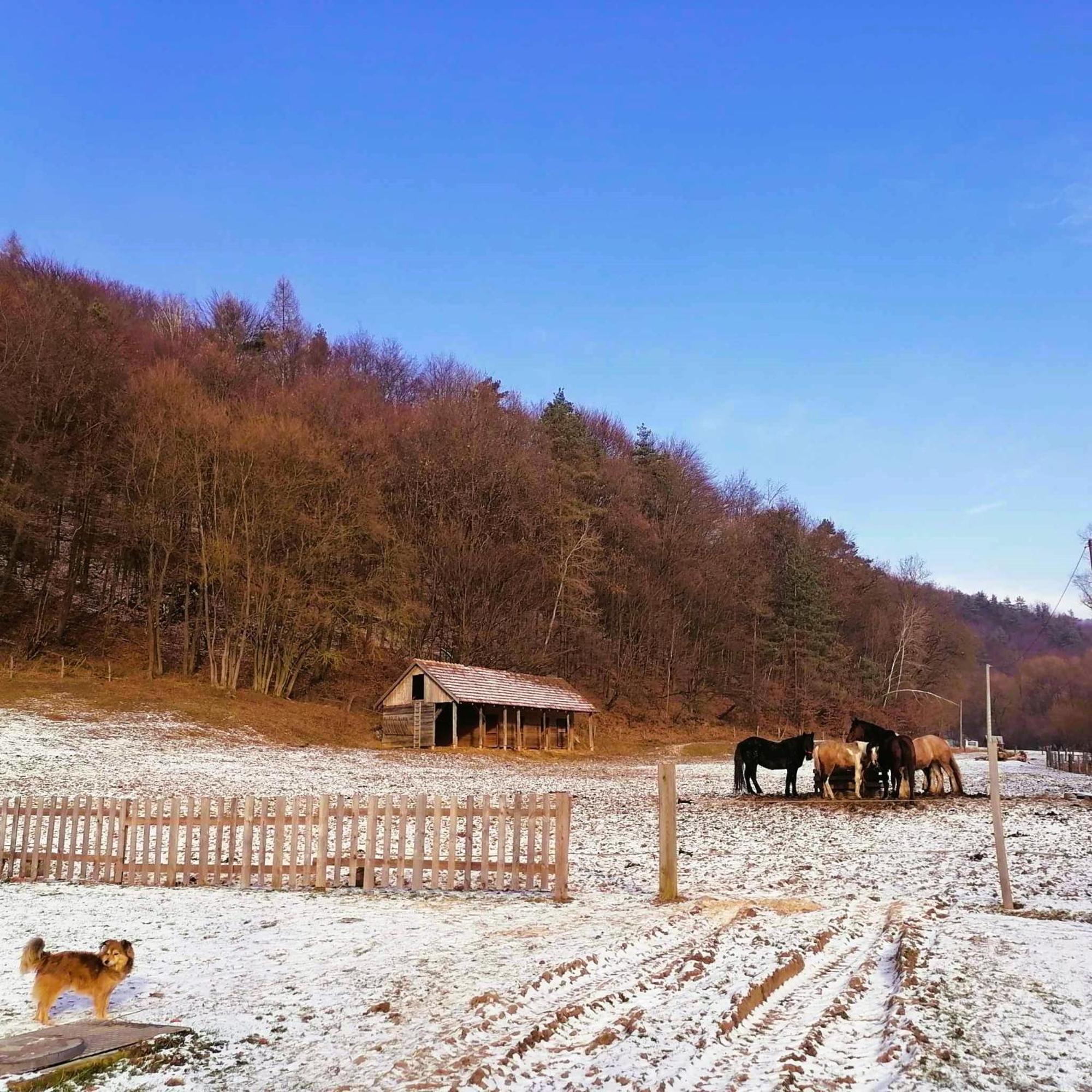 Oddychovy Pobyt Na Rodinnej Farme Matiaska Dış mekan fotoğraf